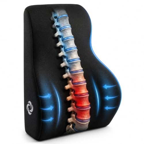 Memory Foam Lumbar Support Pillow