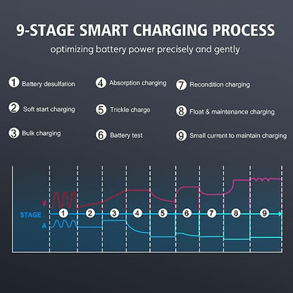 30 Amp Lithium Battery Charger