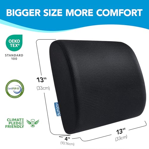 Lumbar Support Pillow for Office Chair