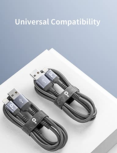 iPhone Charger Cable 2Pack 6FT (2 count)