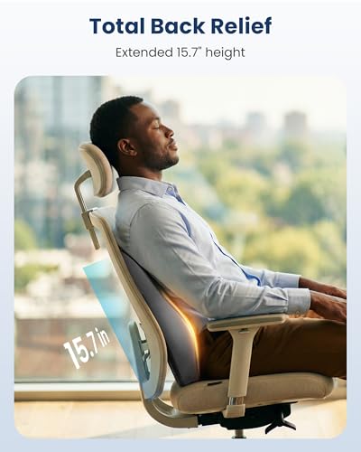 Lumbar Support Cushion with Kneading Massage