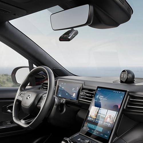 Radar Detector Mount