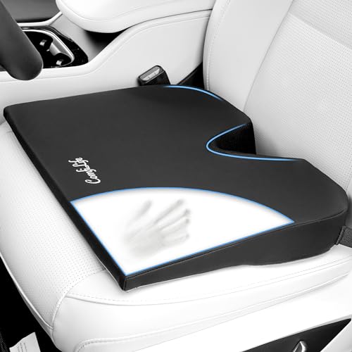 Car Seat Cushion