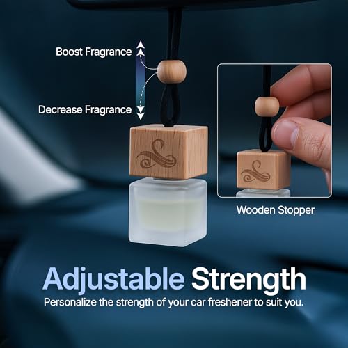 Car Air Fresheners for Men