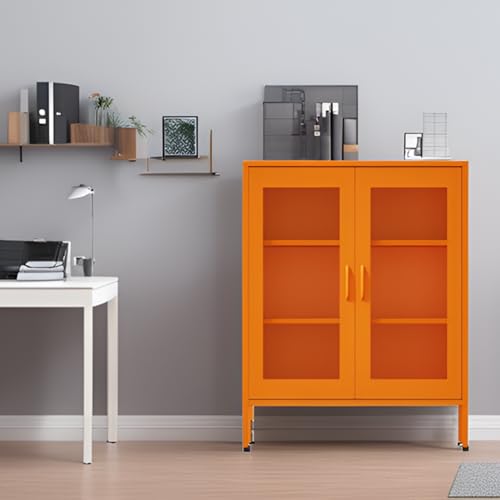 Metal Storage Cabinet with Mesh Doors