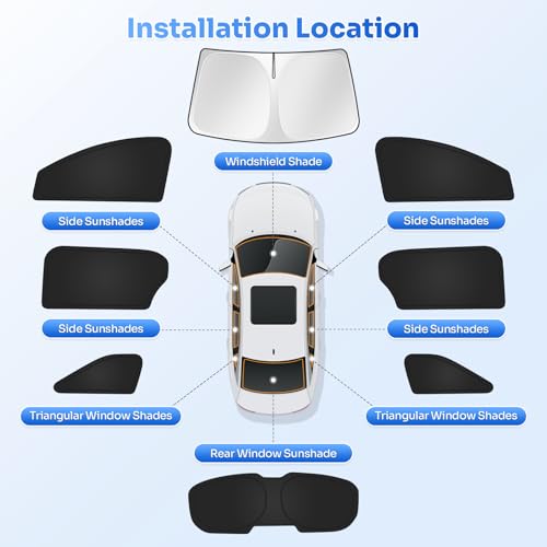 Window Shades for 2021 (8 Count)
