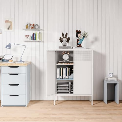 2 Mesh Door Metal Storage Cabinet with Adjustable Shelves