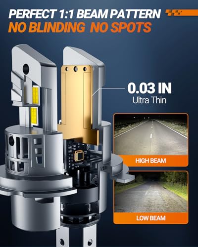 H4 9003 LED Fog Bulbs (2 Count)