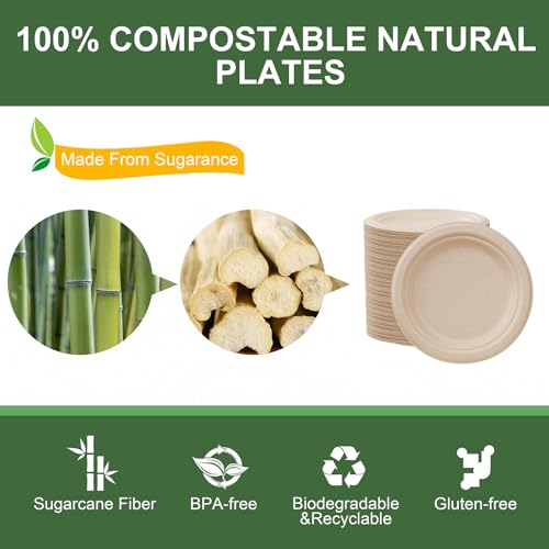 7 Inch Paper Plates 125 (125 Count)
