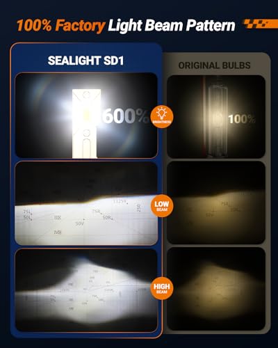 D1S D1R HID Bulbs (2 Count)