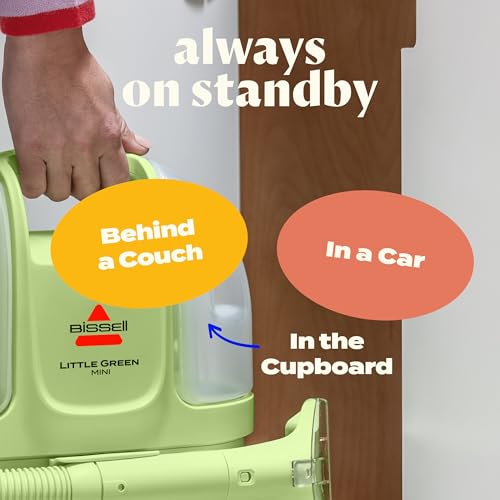 Little Green Mini Portable Carpet Cleaner