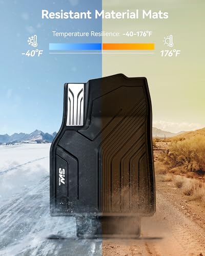 Floor Mats for 2025 2026 Tesla Model Y