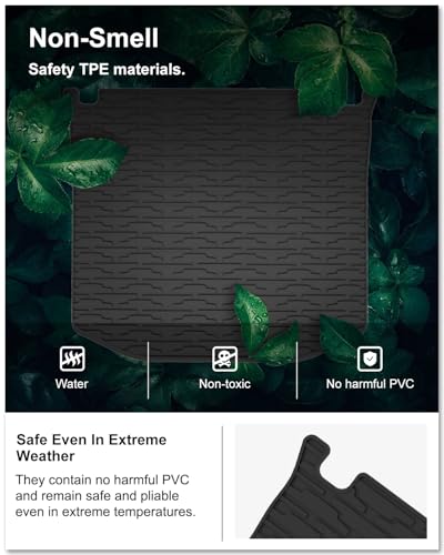 Cargo Mat for 2011