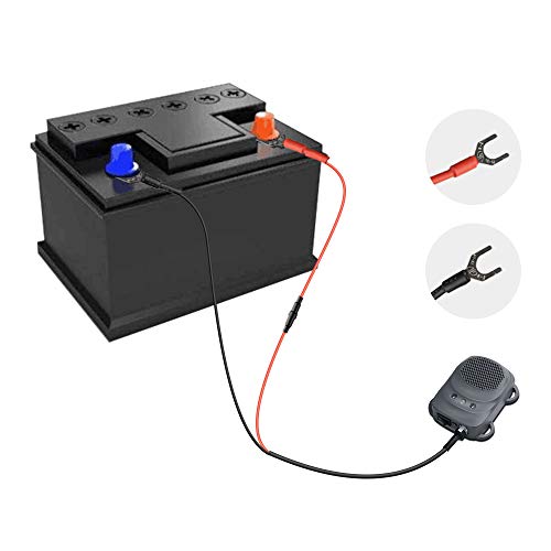 Under Hood Rodent Repellent for Car Engine