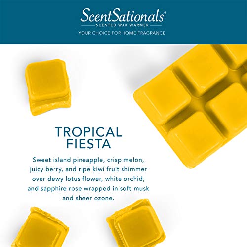Tropical Fiesta (10 Ounce)