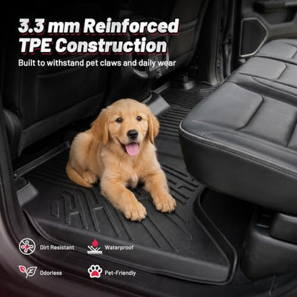 Floor Mats for Honda CR