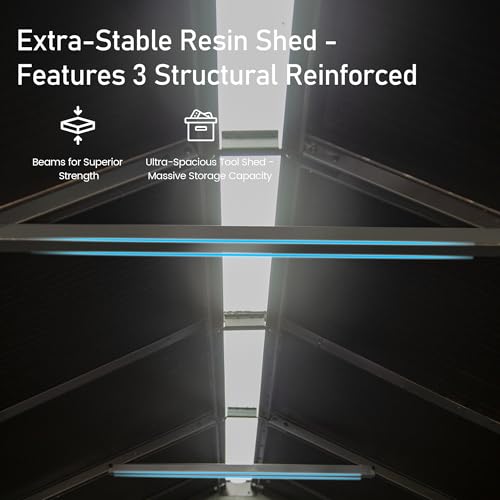Domi 5x3 FT Resin Outdoor Storage Shed