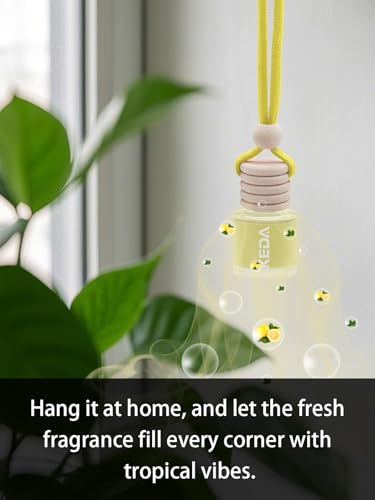 Car Air Freshener
