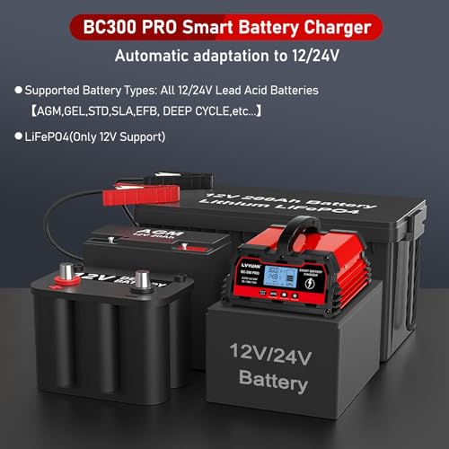 30Amp Smart Car Battery Charger