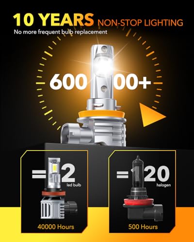 H11 LED Light Bulb (2 Count)