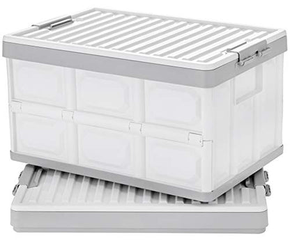 Collapsible Storage Bins with Lids 30L (2 Count)