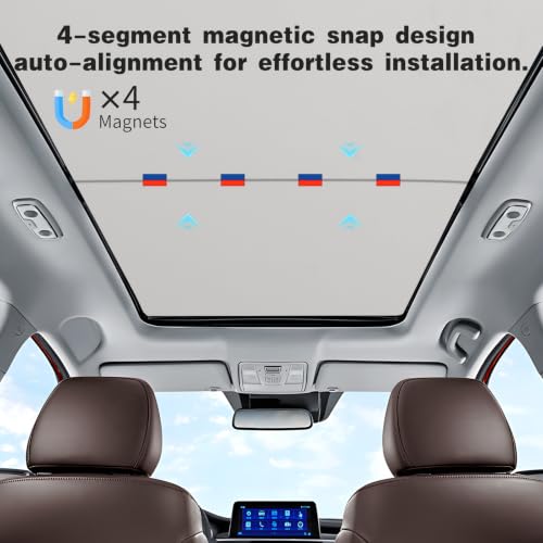 2 Pack Gray Roof Sunshade for 2020 (2 Count)
