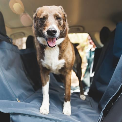 Dirtbag Dog Car Seat Cover