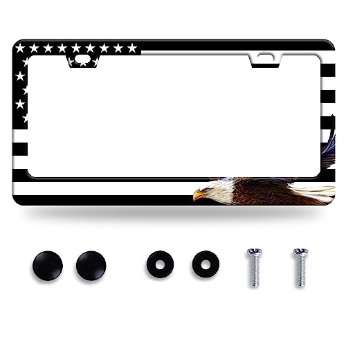 American Flag Eagle License Plate Stainless Steel Parts 12.3" x 6.3"