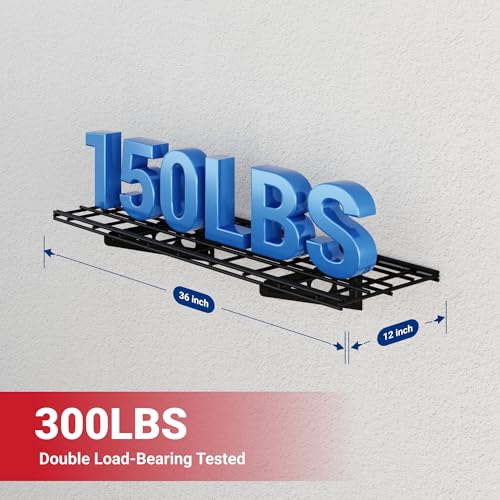 1 Pack 1x3ft Garage Shelving Wall