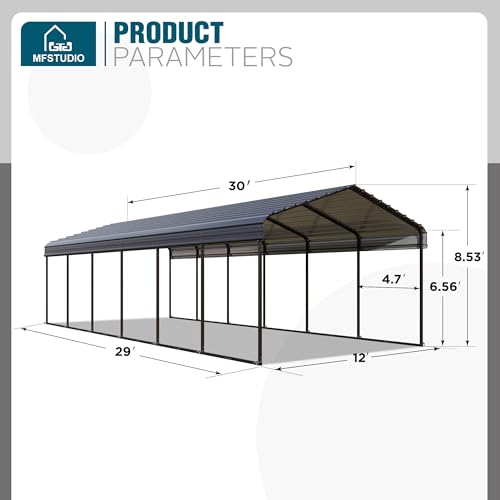 Metal Carport 12x30ft