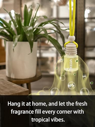 IKEDA Car Air Freshener