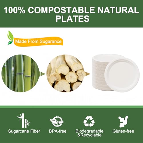 7 Inch Paper Plates 125 (125 Count)