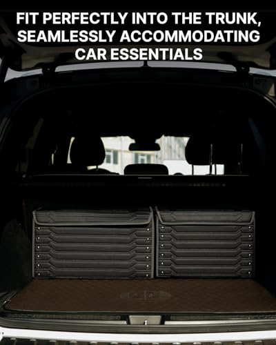 Cargo Organizer