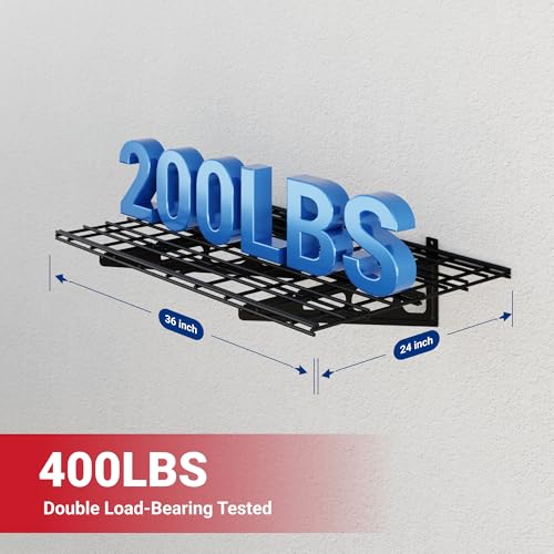 1 Pack 2x3ft Garage Shelving Wall