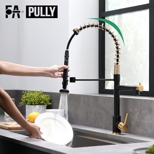 Black&Gold Kitchen Faucet with Sprayer