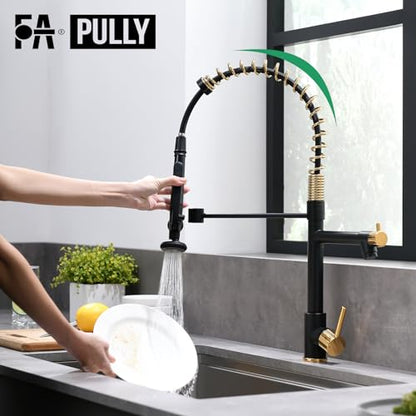 Black&Gold Kitchen Faucet with Sprayer