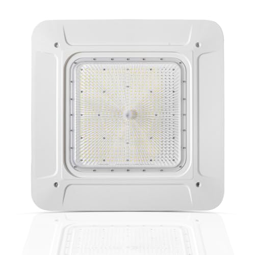 LED Gas Station Canopy Light 240W Garage Carport Ceiling Light Fixture