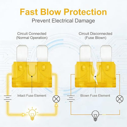 80Pcs) 20 Amp Standard Fuse, 20A Car Blade Fuses for Car/RV/Truck/SUV/Motorcycle/Boat (80 Count)