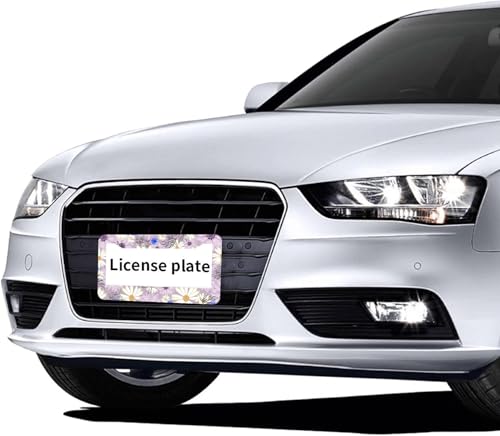 Flowers Daisy License Plate Frames