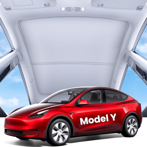 Tesla Model Y (2 Count)