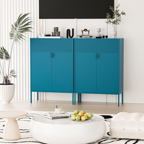 2 Mesh Door Metal Cabinet with Adjustable Shelves