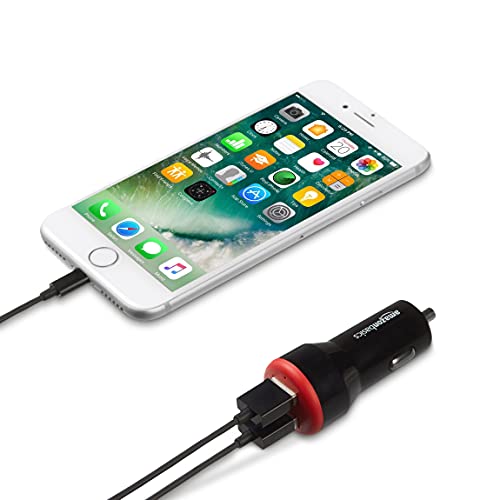 24W Dual USB Car Charger for Phones