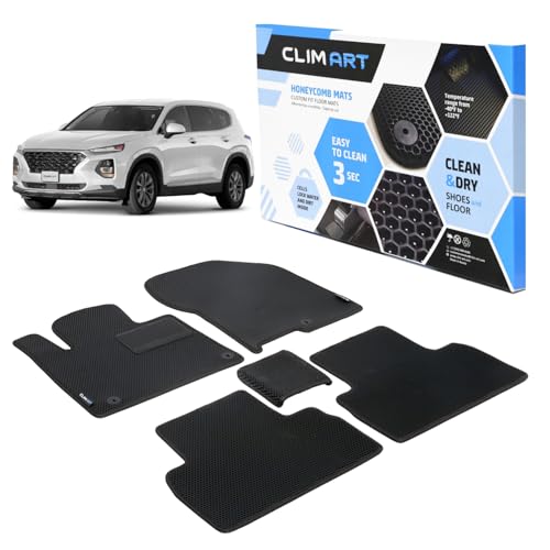 All Weather Car Floor Mats Compatible with Hyundai Santa Fe 2019