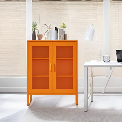 Metal Storage Cabinet with Mesh Doors