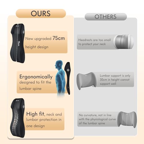 Lumbar Support with Car Headrest Pillow 2