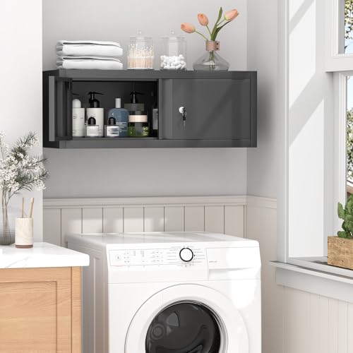 Metal Wall Cabinet with Lock and Doors