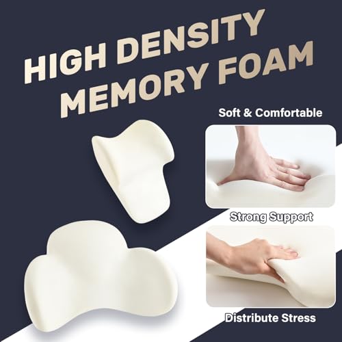 Lumbar Support Pillow and Car Neck Pillow (2 Count)