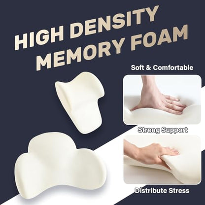 Lumbar Support Pillow and Car Neck Pillow (2 Count)