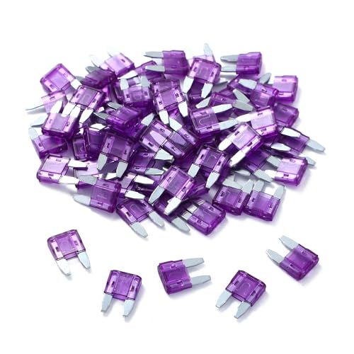 100 Pack Auto Fuses 3 AMP APM