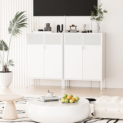 2 Mesh Door Metal Storage Cabinet with Adjustable Shelves